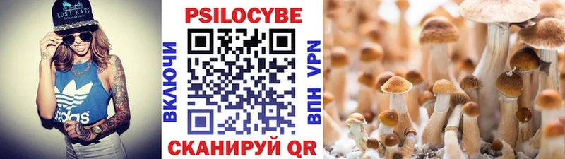 Галлюциногенные грибы Psilocybine cubensis наркотики Киселёвск